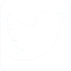 AKASO Tech LLC
