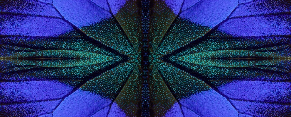 night vision